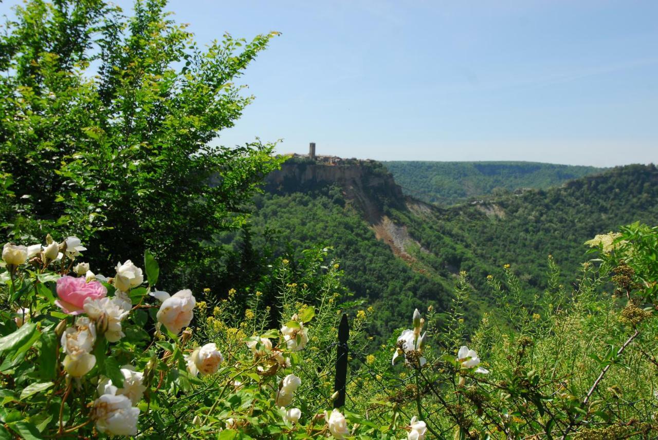 Casa Con Vista Mozzafiato Su Civita Di Bagnoregio Villa Lubriano Exterior photo